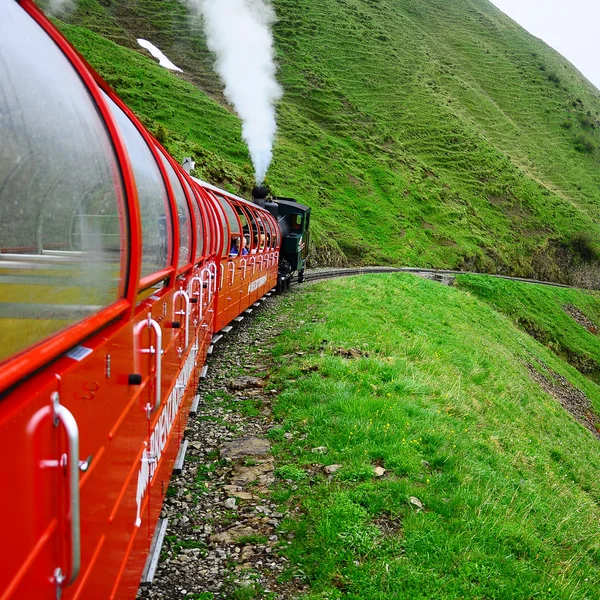 Tren de vapor de ancho estrecho . —  Fotos de Stock