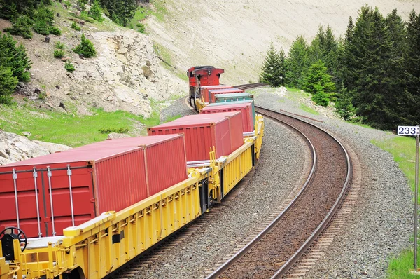 Güterzug. — Stockfoto