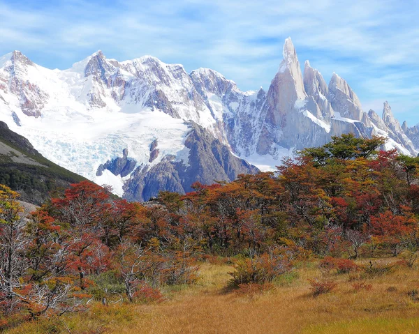 Cerro Torre bjerget . - Stock-foto