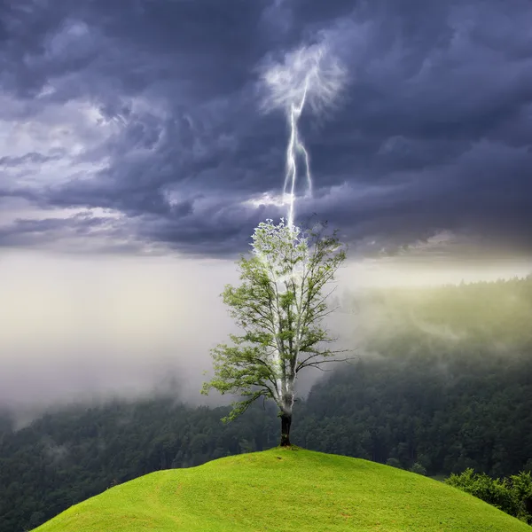 Albero sulla collina colpito da un fulmine dal cielo buio . — Foto Stock