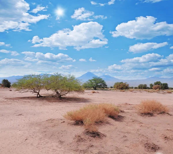 Landschap van de Atacama woestijn. — Stockfoto