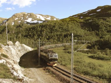 Myrdal 'dan tren Flam 'a gidiyor.