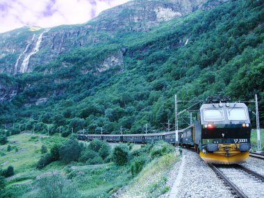 myrdal için flam tren gidiyor.