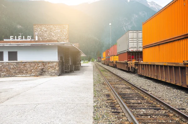 Goederentrein. — Stockfoto