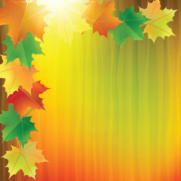 Fond coloré avec les feuilles d'érable d'automne . — Image vectorielle