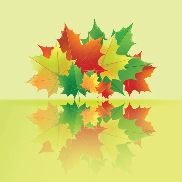 Autumn wet maple leaves fall to the puddle. — Stock Vector