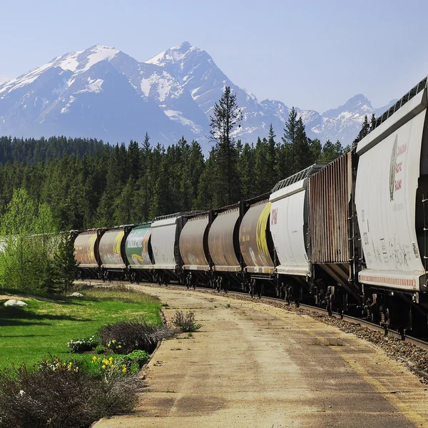 Lange goederentrein. — Stockfoto