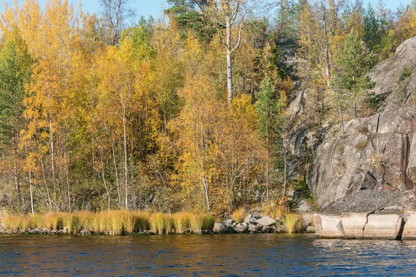 Árvores Nas Falésias Lago Ladoga Noite Outono República Carélia Rússia — Fotografia de Stock
