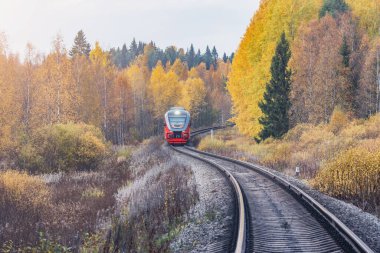Yolcu treni sonbahar günü hareket eder. Karelia. Rusya.