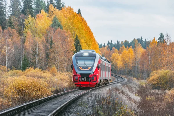Tren Pasajeros Mueve Hora Del Día Otoño Karelia Rusia — Foto de Stock