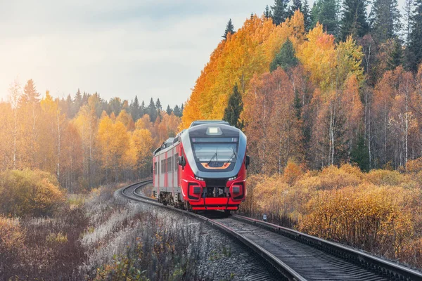 Tren Pasajeros Mueve Atardecer Otoño Karelia Rusia — Foto de Stock