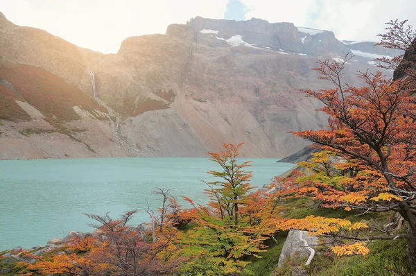 Jesienne Drzewa Nad Jeziorem Laguna Del Diablo Park Los Huemules — Zdjęcie stockowe