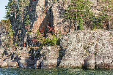 Sonbahar akşamı Ladoga Gölü 'nün tepelerindeki ağaçlar. Karelia Cumhuriyeti. Rusya.