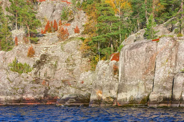 Drzewa Klifach Jeziora Ladoga Jesienny Wieczór Republika Karelii Rosja — Zdjęcie stockowe