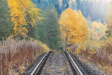 Sonbahar gününde uzun demiryolu hattı.