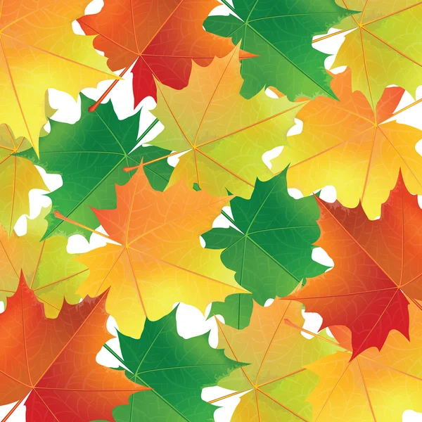 Background with colorful maple leaves. — Stock Vector