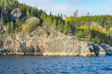Sonbahar akşamı Ladoga Gölü 'nün tepelerindeki ağaçlar. Karelia Cumhuriyeti. Rusya.