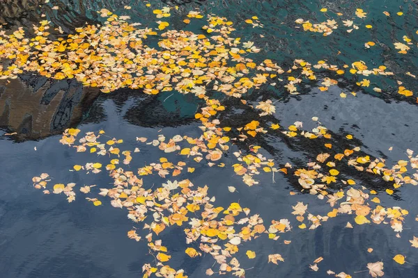 Herbst Bunte Blätter Auf Der Flussoberfläche — Stockfoto