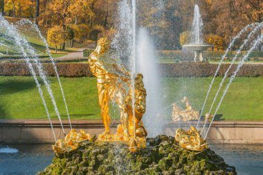 Peterhof, Saint Petersburg, Rusya - Ekim 04, 2021: Peterhof Aşağı Parkı Samson Çeşmesi.