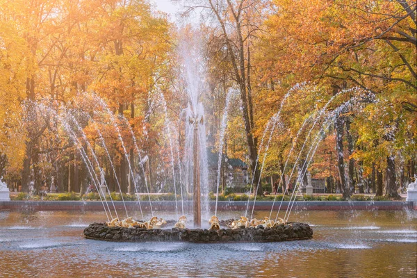 Peterhof Saint Peterhof Russia October 2021 Pyramid Fountain Lower Park — стокове фото