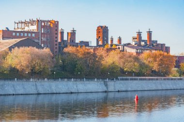 Sonbahar sabahı nehrin kıyısındaki antik bitki. Moskova. Rusya.