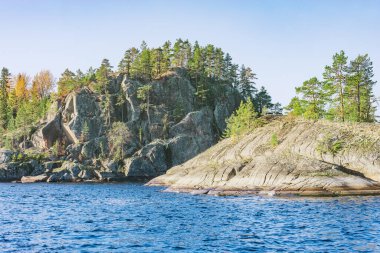 Sonbahar akşamı Ladoga Gölü 'nün tepelerindeki ağaçlar. Karelya Cumhuriyeti.
