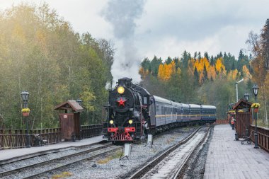 Ruskeala, Rusya - 01 Ekim 2021: Retro buhar treni Sortavala 'dan istasyona ahşap platforma bulutlu bir sonbahar akşamı varır..