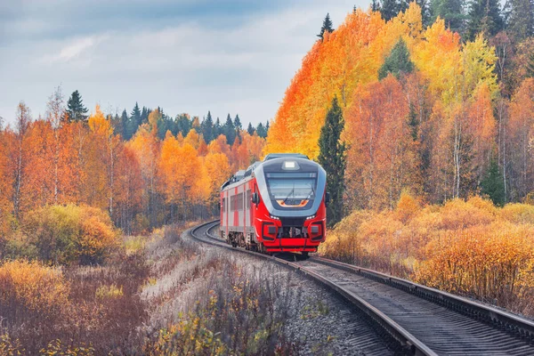 Yolcu Mazot Yerel Tren Sonbahar Günü Hareket Eder Karelia Rusya — Stok fotoğraf