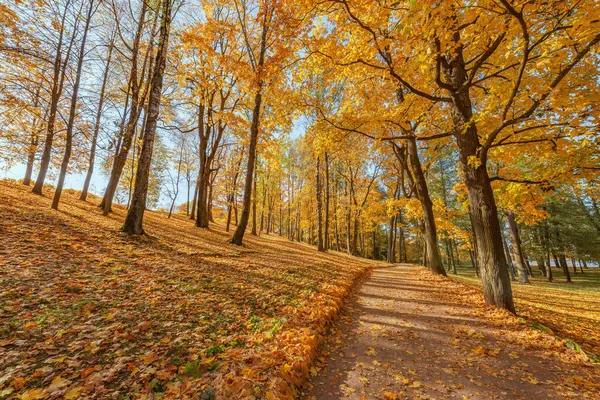 Blick Auf Den Stadtpark Herbstmorgen — Stockfoto