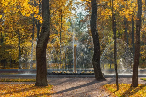 Fountain Sun in the Lower Park of Peterhof at autumn time. — Stock Photo, Image