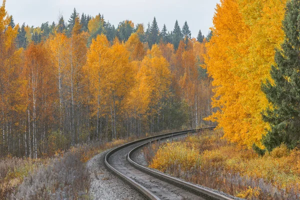 Long railway line at autumn day. — Stock Photo, Image