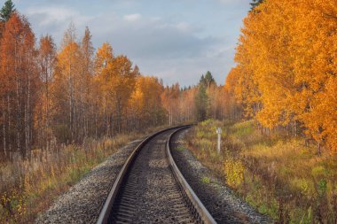 Sonbahar gününde uzun demiryolu hattı.