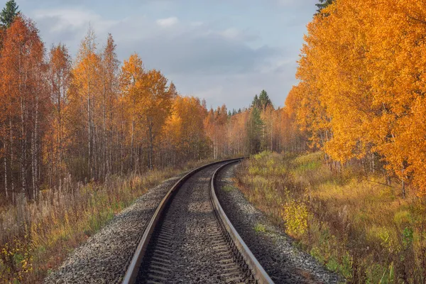 Sonbahar Gününde Uzun Demiryolu Hattı — Stok fotoğraf