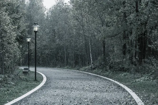 Sentiero pedonale nel parco cittadino in autunno. — Foto Stock