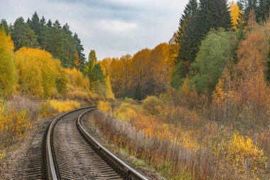 Sonbahar gününde uzun demiryolu hattı.