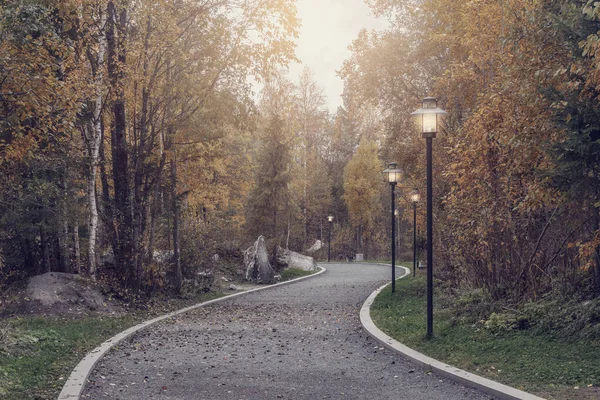 Sentiero Nel Parco Cittadino Alla Sera Autunno — Foto Stock