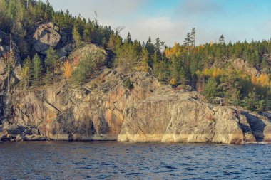 Sonbahar akşamı Ladoga Gölü 'nün tepelerindeki ağaçlar. Karelia Cumhuriyeti. Rusya.