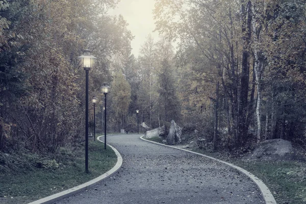 Ścieżka Parku Miejskim Jesienią Wieczorem — Zdjęcie stockowe