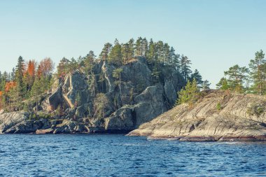 Sonbahar akşamı Ladoga Gölü 'nün tepelerindeki ağaçlar. Karelia Cumhuriyeti. Rusya.