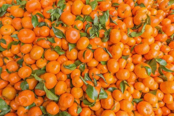Fondo Naranja Mandarina Fresca Escaparate Del Mercado Frutas — Foto de Stock