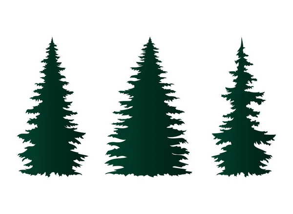 Spruce Trees Isolated White Vector Illustration — Stock Vector