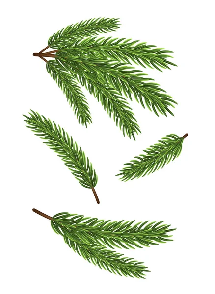 Gałęzie Drzewa Jodłowego Białym Tle Boże Narodzenie Wektor Ilustracja — Wektor stockowy