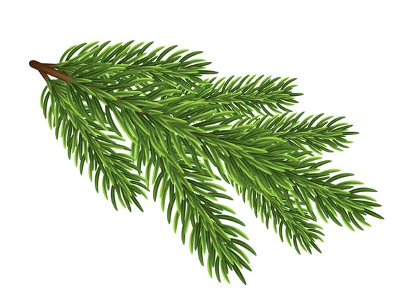Δέντρο Ελάτης Κλαδί Λευκό Φόντο Χριστούγεννα Διανυσματική Απεικόνιση — Διανυσματικό Αρχείο