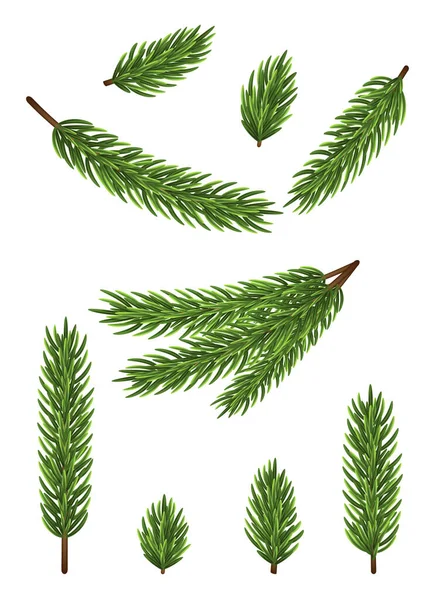 Jedlové Větve Stromu Bílém Pozadí Vánoční Vektorová Ilustrace — Stockový vektor