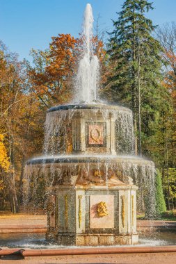 Peterhof, Saint Petersburg, Rusya - Ekim 04, 2021: Sonbahar zamanı Peterhof Aşağı Parkı 'ndaki Roma çeşmesi.