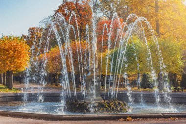 Peterhof, Saint Petersburg, Rusya - Ekim 04, 2021: Sonbahar zamanı Aşağı Peterhof Parkı 'ndaki Çeşme.