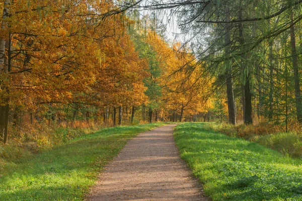 Weg Stadtpark Zur Herbstzeit — Stockfoto