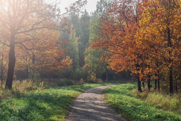 Weg Stadtpark Zur Herbstzeit — Stockfoto