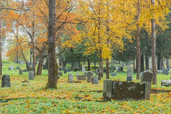 芬兰的墓地在秋天 Sortavala 俄罗斯 — 图库照片