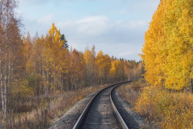Sonbahar günü uzun demiryolu hattı. Rusya.